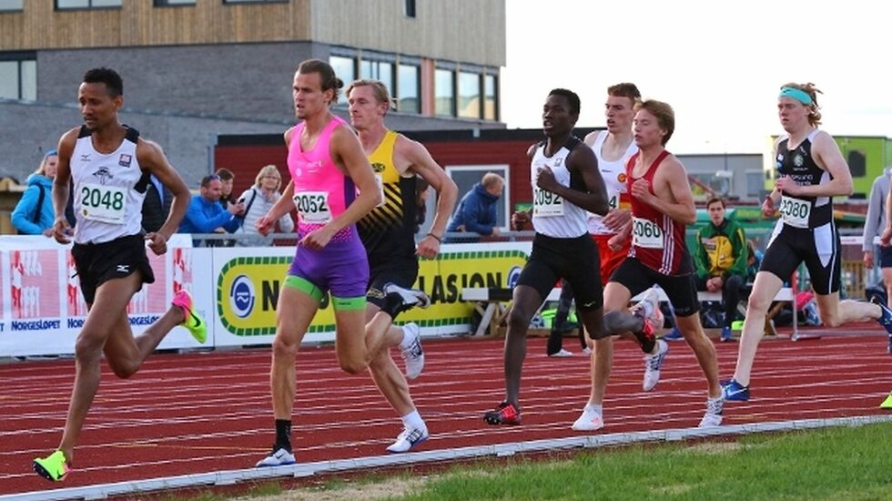 Foto: Bjørn Hytjanstorp