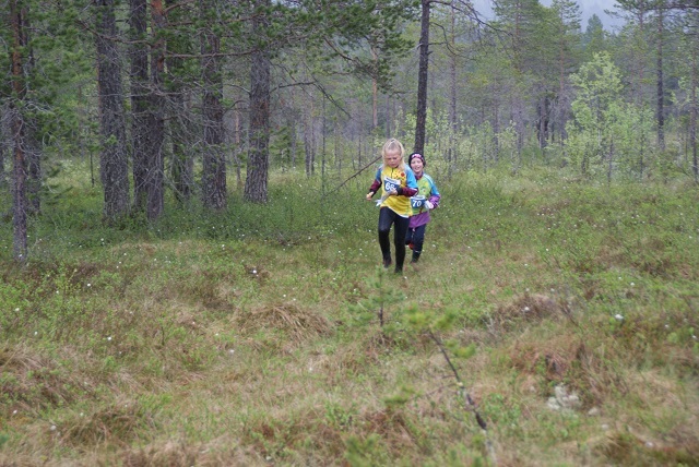 Små løpere ute på ei stor myr. (Foto: Stein Arne Negård)