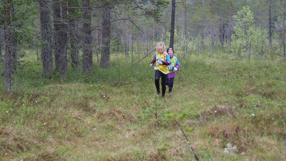 Små løpere ute på ei stor myr. (Foto: Stein Arne Negård)