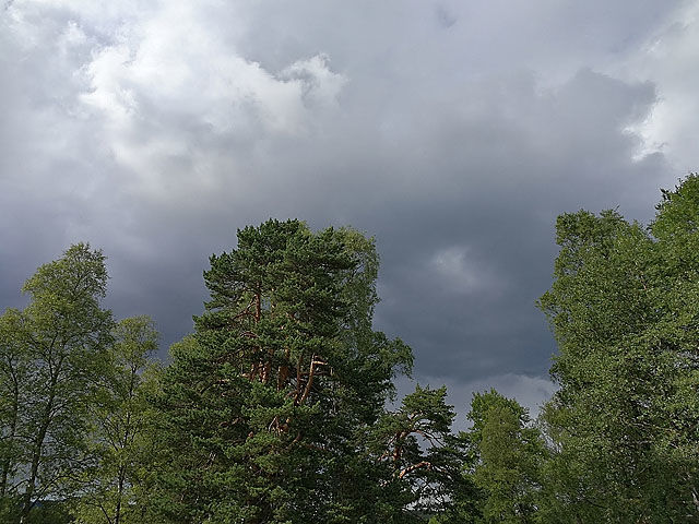 Mørke skyer over Sognsvann