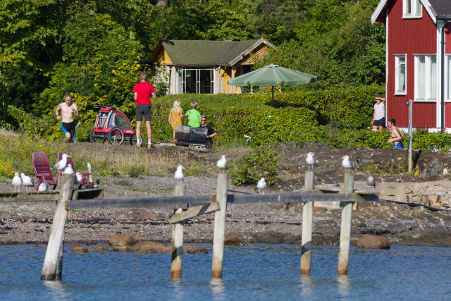 Sommmeridyll på Lindøya. Jon Grunnan raser avgårde i løypa.  Foto: Stian S. Møller