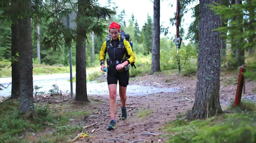 Øyunn dag 1, før myrene. (Foto:Bjørn Hytjanstorp)