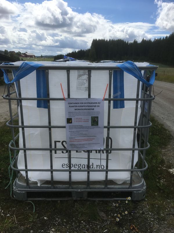 Søppelcontainer kjempespringfrø Søppelcontainer kjempespringfrø