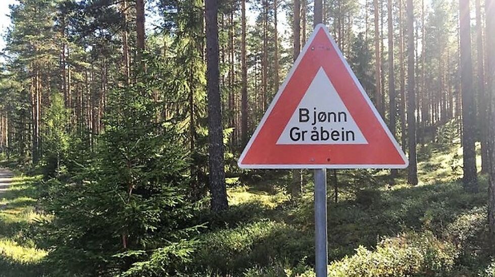 Farefull-karusellen? (Foto: Gunn Helen Kjensmo)