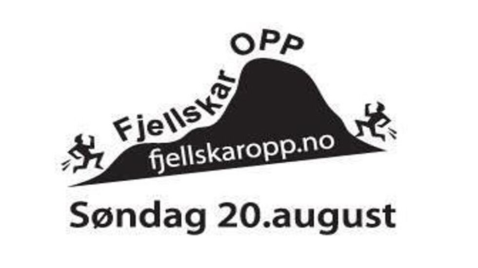 Fjellskar_opp