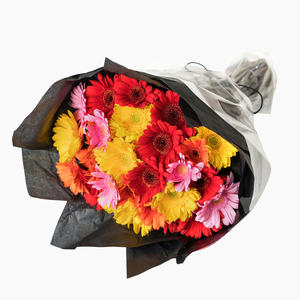 999170_blomster_germini