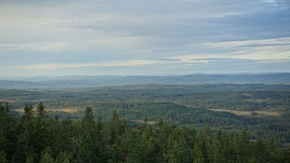 Utsikt fra målområdet på Rafjellet. (Arrangørfoto)
