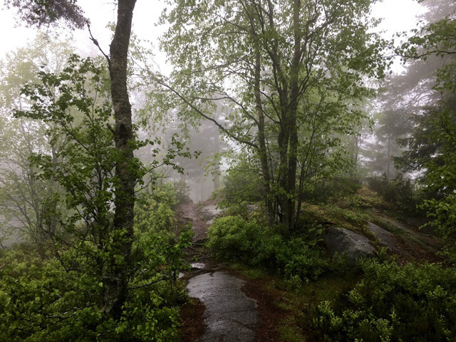 Barlindaasen_640