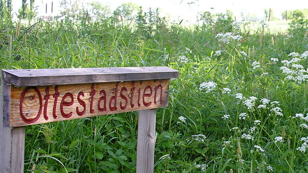 (Arrangørfoto)