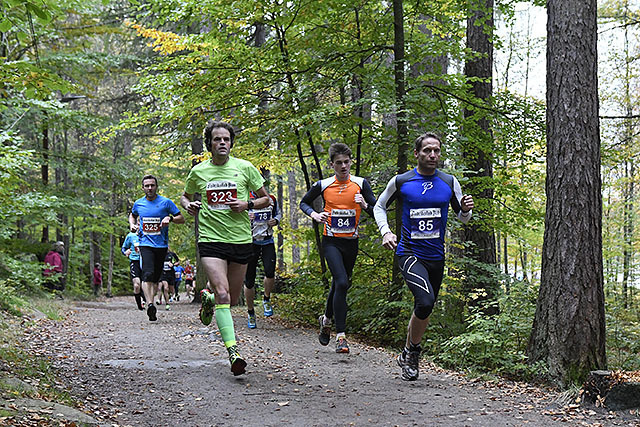 Søndag 14. oktober er det klart for den 45. utgaven av skogsløpet  Fredrikstadmarka Rundt. (Foto: Bjørn Johannessen)