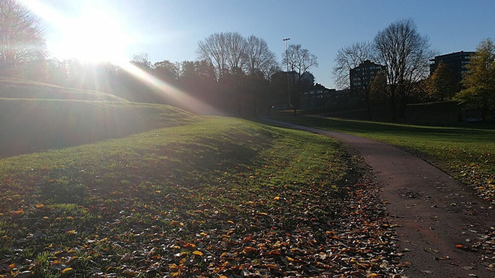 Absolutt nydelig i morrasolen i Tøyenparken under det 10. Tøyen Parkrun. Foto: Heming Leira