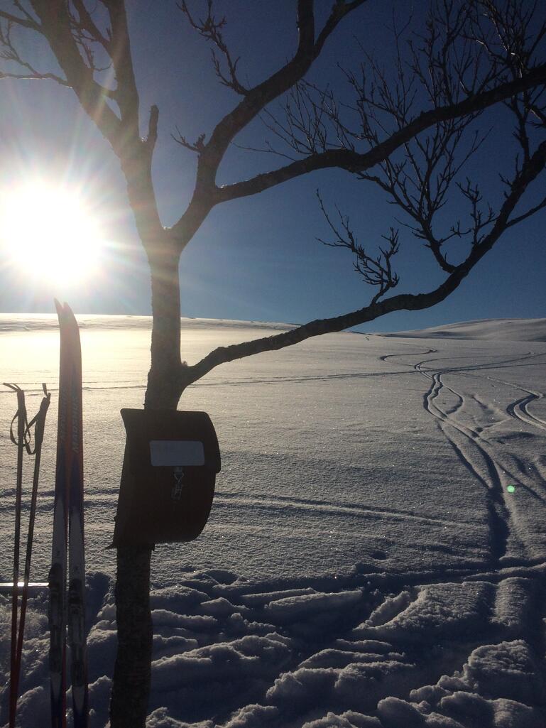 Snølandskap med sol, trimkasse og ski
