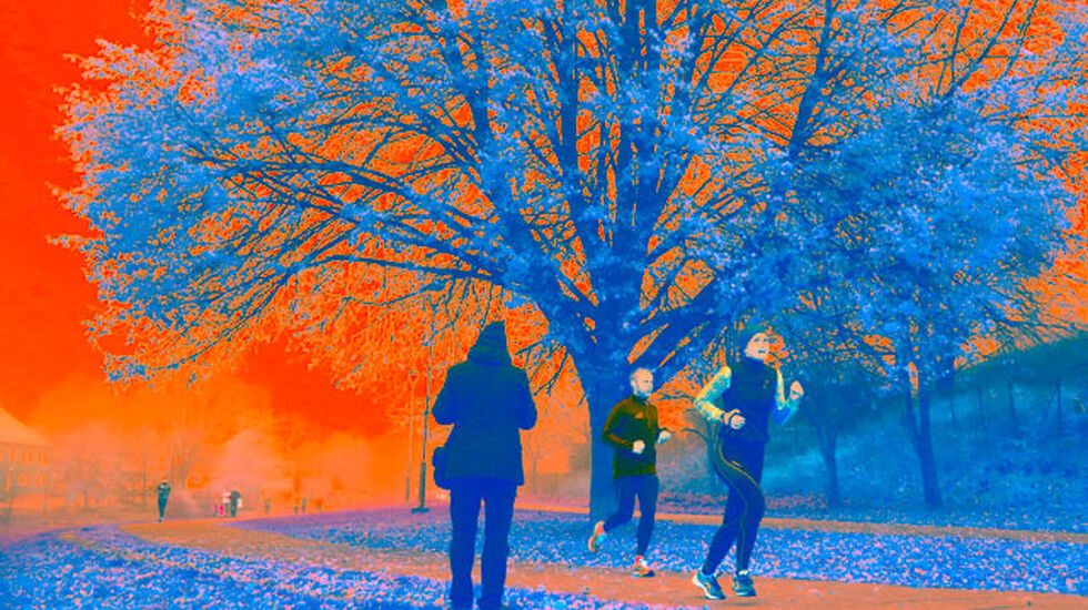 Tøyen Parkrun #11