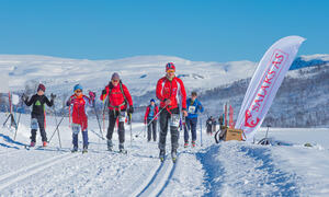 Turskiløpere i skisporet