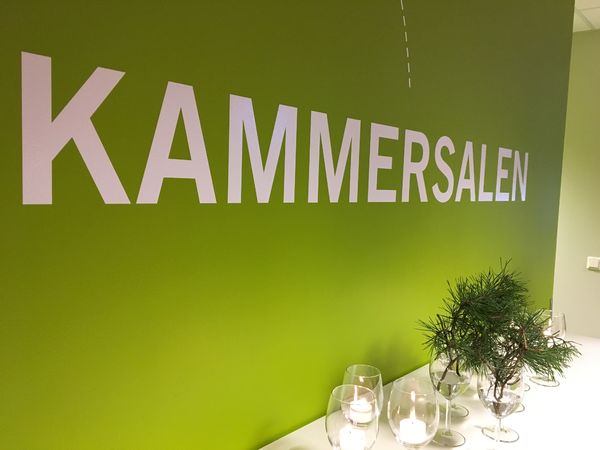 Kulturskolen - åpen dag