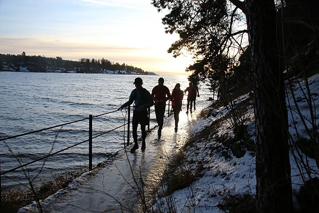 Naturidyll langs Sollerudstranda.