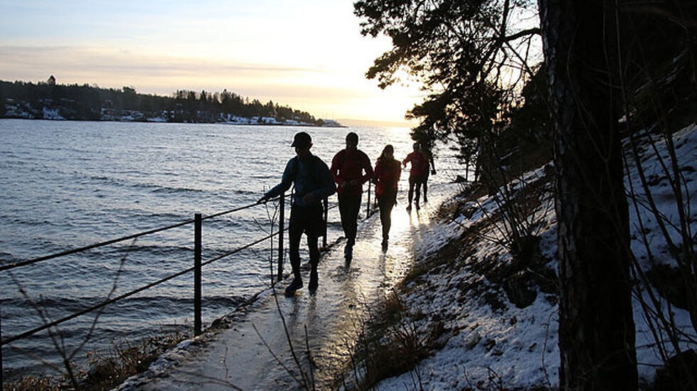Naturidyll langs Sollerudstranda.