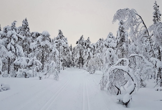 Hennings_skiløype (640x434)[1]
