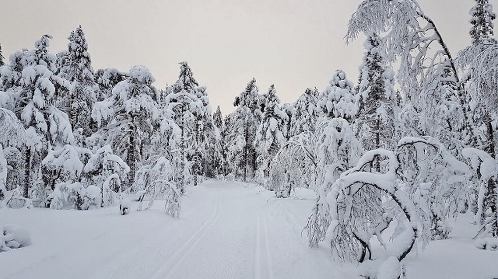 Hennings_skiløype (640x434)[1]
