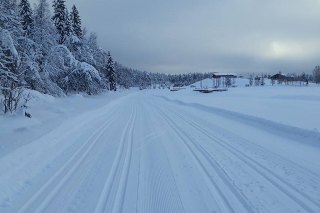 Drømmeforhold både med og uten festevoks i Trysil-Knut Renn-traséen på søndag. (Foto: Erland Olsen)