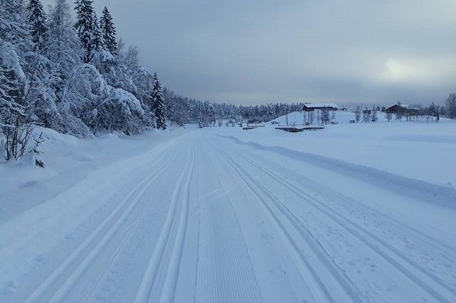Drømmeforhold både med og uten festevoks i Trysil-Knut Renn-traséen på søndag. (Foto: Erland Olsen) Drømmeforhold både med og uten festevoks i Trysil-Knut Renn-traséen på søndag. (Foto: Erland Olsen)