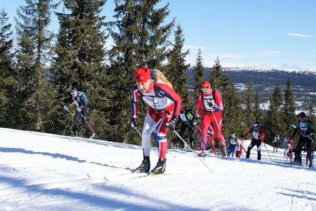 Artikkelforfatteren på veg opp Kvarstadlia på blanke ski under fjorårets Birkebeinerrenn. (Foto: Stein Arne Negård)