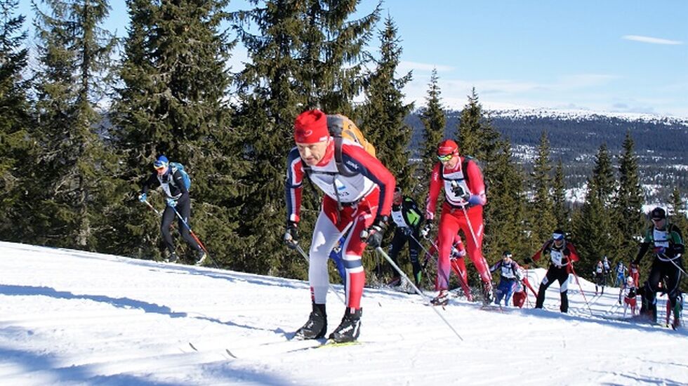 Artikkelforfatteren på veg opp Kvarstadlia på blanke ski under fjorårets Birkebeinerrenn. (Foto: Stein Arne Negård)