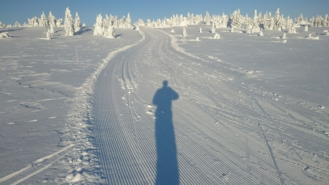 Rolf_Bakken_Flott_skiterreng