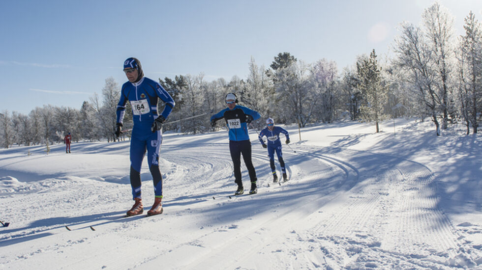Foto: Merete Brendstuen