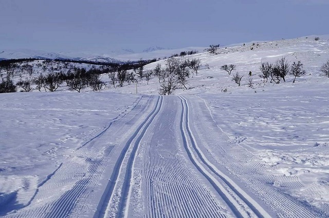 (Foto: Folldal Turlag)