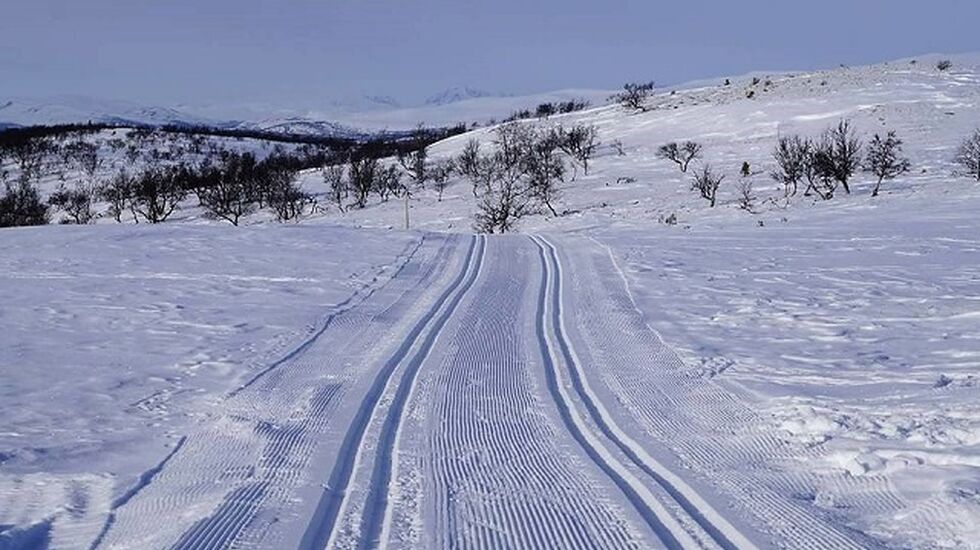 (Foto: Folldal Turlag)