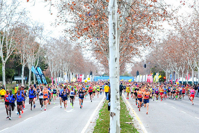 Starten har gått for årets Sevilla Marathon der 9494 løpere tok seg til mål. (Foto: arrangøren)
