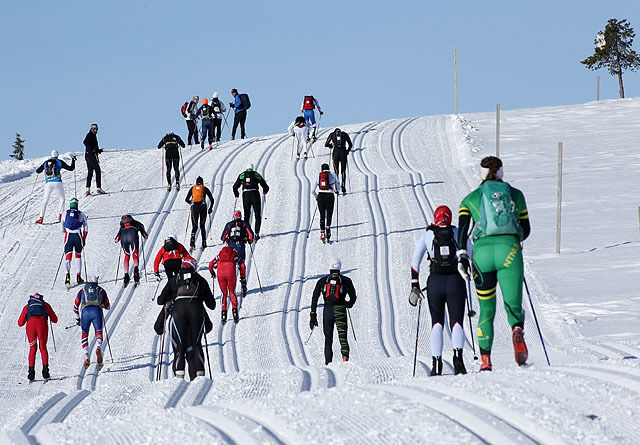 En fantastisk dag i gode skispor i årets Birkebeinerrenn. Foto Geir Olsen/Birken