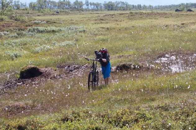 Kontrollmåling_myr (630x419).jpg
