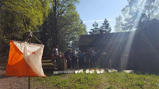 Sommervarme i Moskogen i Moelv. (Foto: Stein Arne Negård)