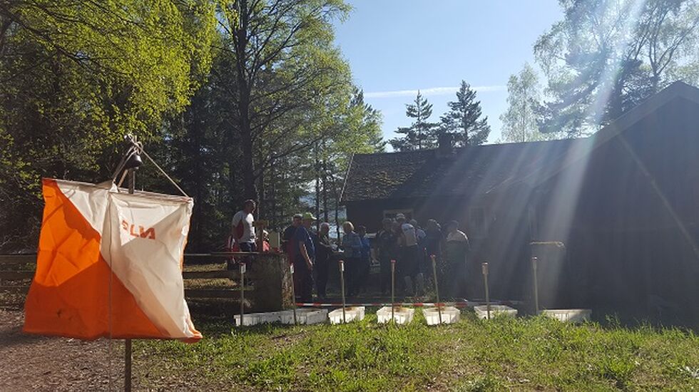 Sommervarme i Moskogen i Moelv. (Foto: Stein Arne Negård)