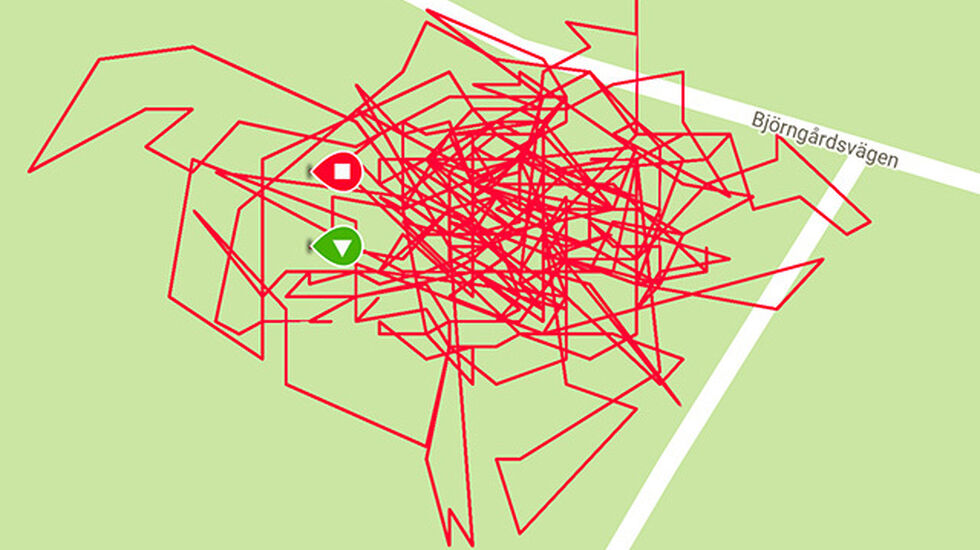 Dette ser kanskje ut som hodeløs løping rundt i en park, men var faktisk 45 minutter relativt rolig yoga på ei matte. Distansen ble målt til 790 meter.