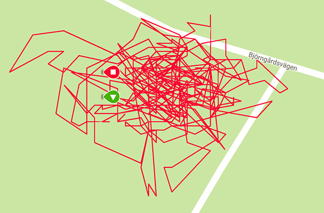 Dette ser kanskje ut som hodeløs løping rundt i en park, men var faktisk 45 minutter relativt rolig yoga på ei matte. Distansen ble målt til 790 meter.