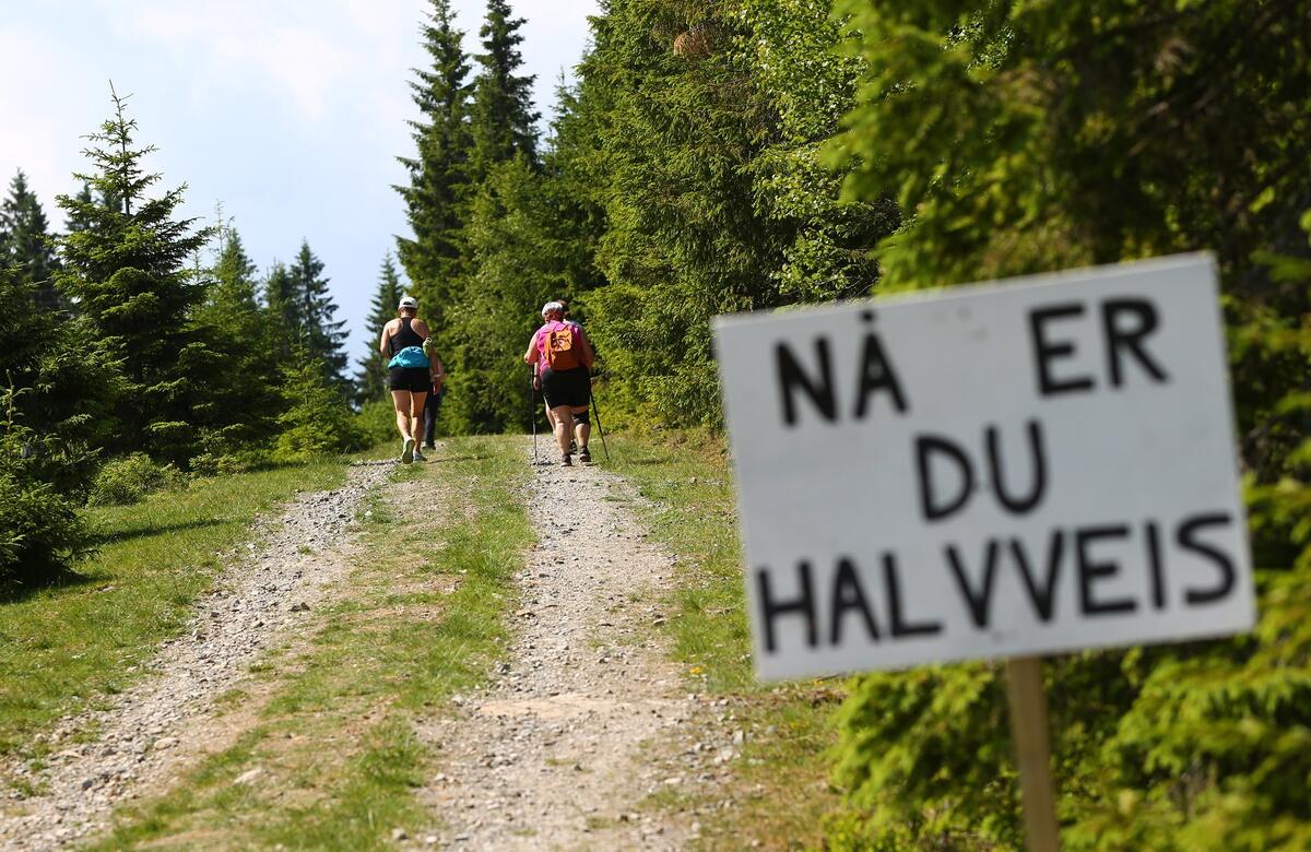 Halvveis