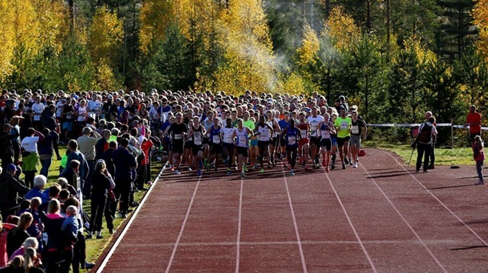 Fra starten på 10 km i 2017. Foto : Bjørn Hytjanstorp