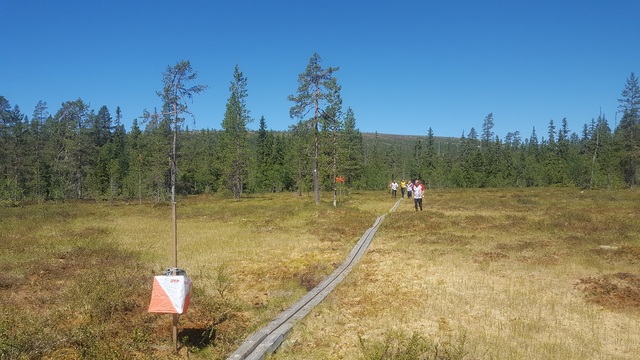 Innspurten på søndagens løp I Sälen. (Foto: Stein Arne Negård)