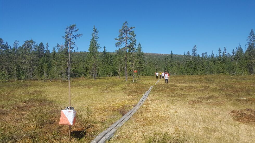 Innspurten på søndagens løp I Sälen. (Foto: Stein Arne Negård)