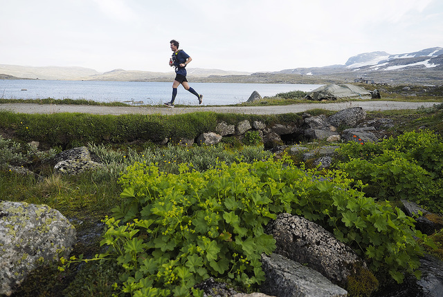Vakkert over rallarvegen. (Foto: Bjørn Johannessen)