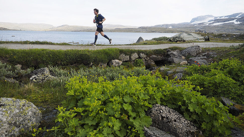 Vakkert over rallarvegen. (Foto: Bjørn Johannessen)