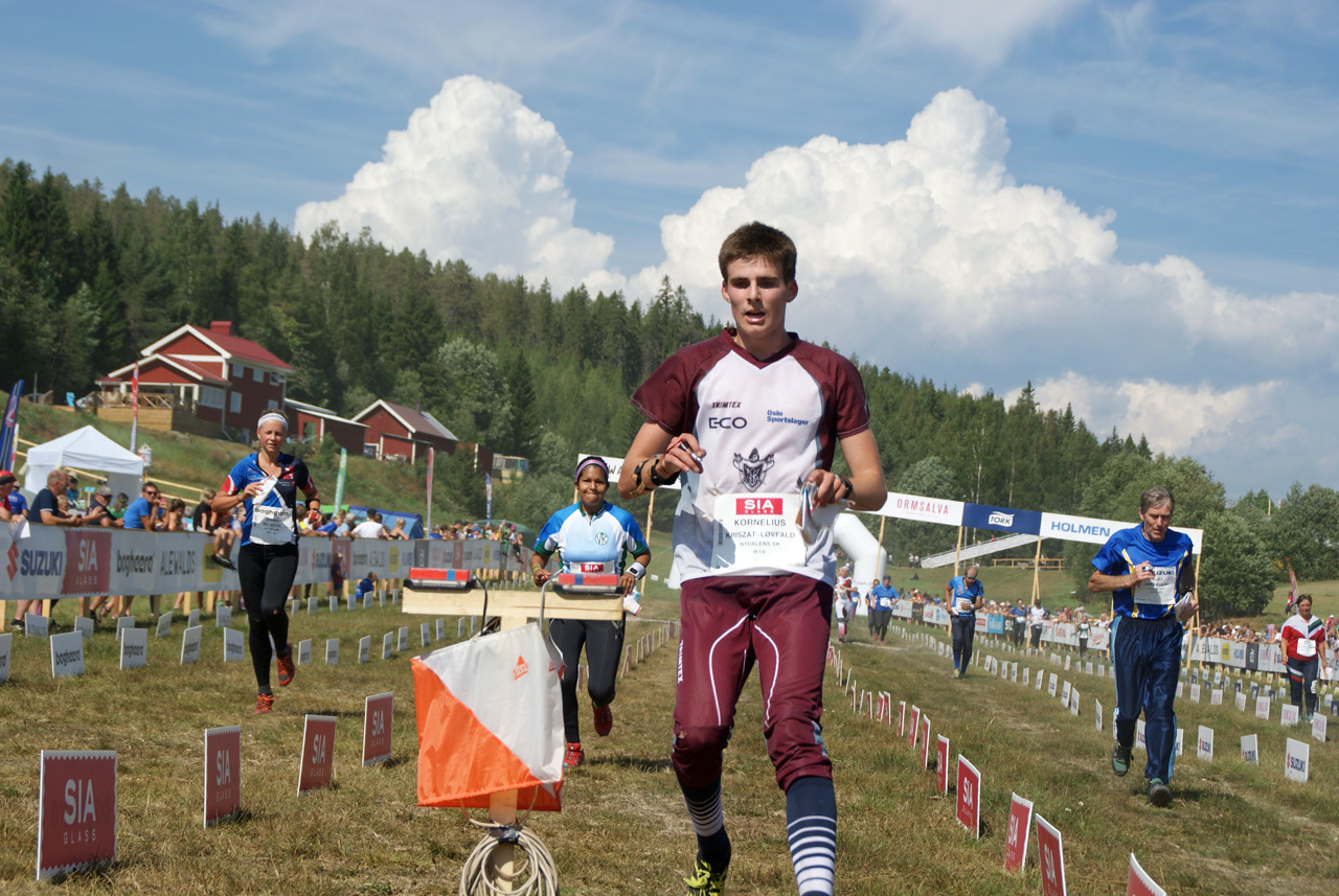 3_KorneliusKriszat-Lovfald.jpg