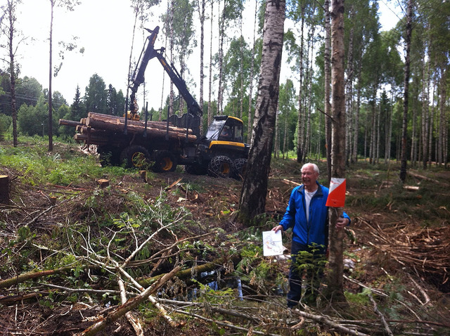 Erlend Johnsen (85) på god veg til gullmerke nr. 36 i Ringerike o-lag si turorientering. Her sikrar han seg ein tur-o-post i Hovsmarka utanfor Hønefoss, før hogstmaskinen kanskje tek den med seg. (Foto: Sverre Thune)