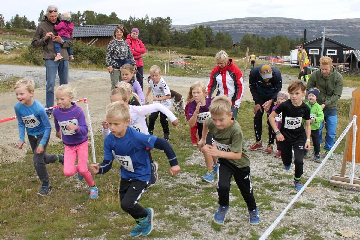 1km_start