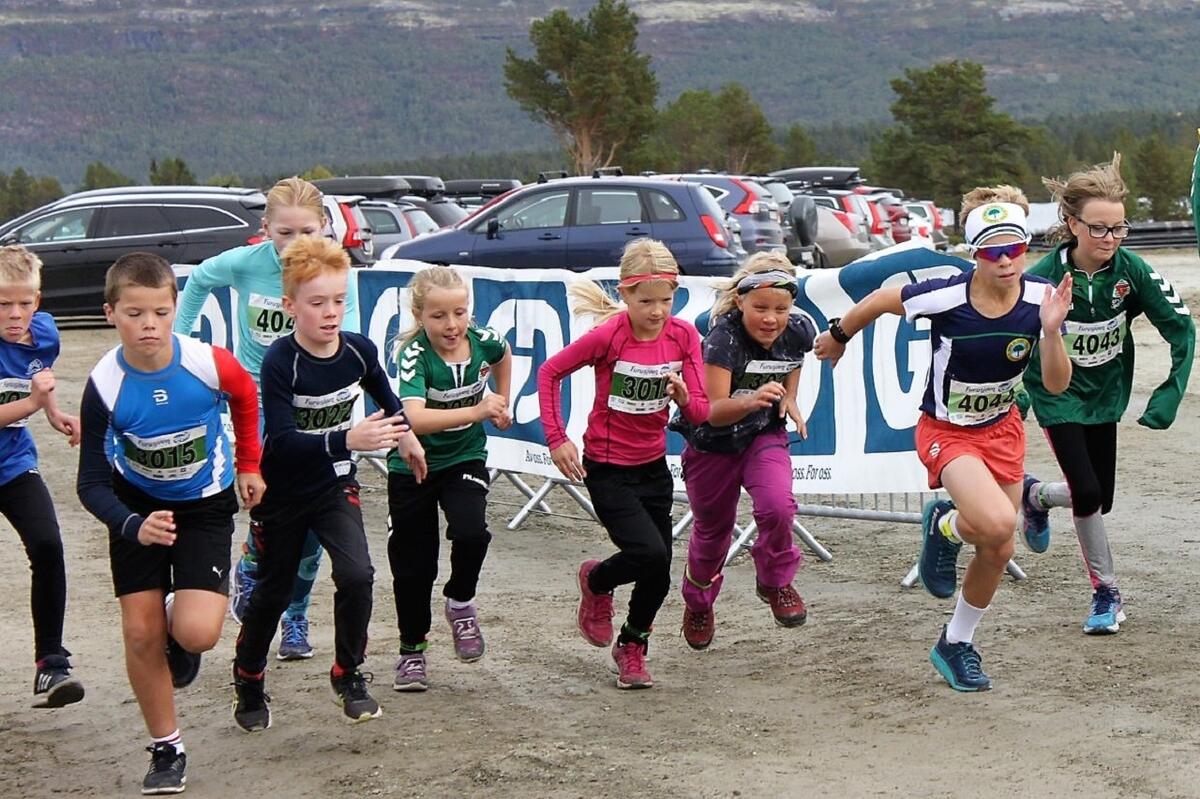 2km_start