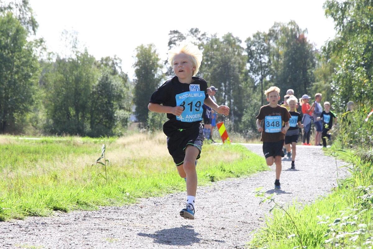 2,5km_forstemann