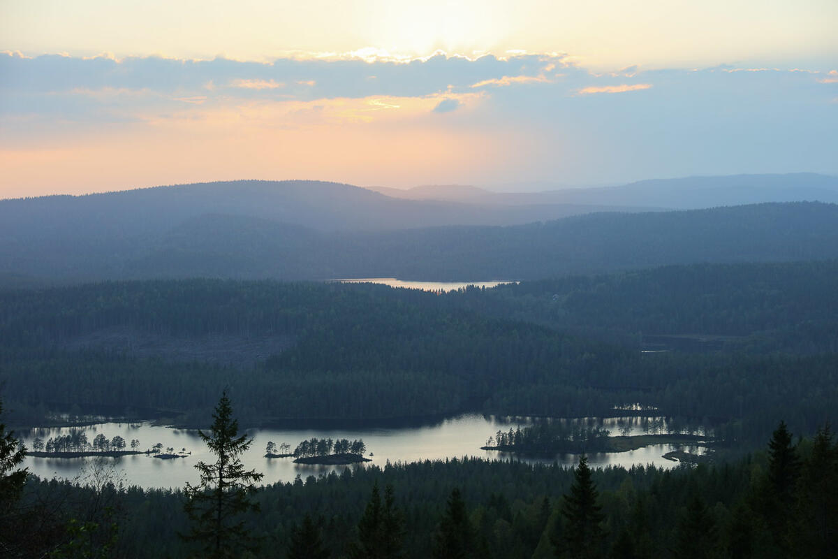 349_Sellanraa_Opp_Stian_180918